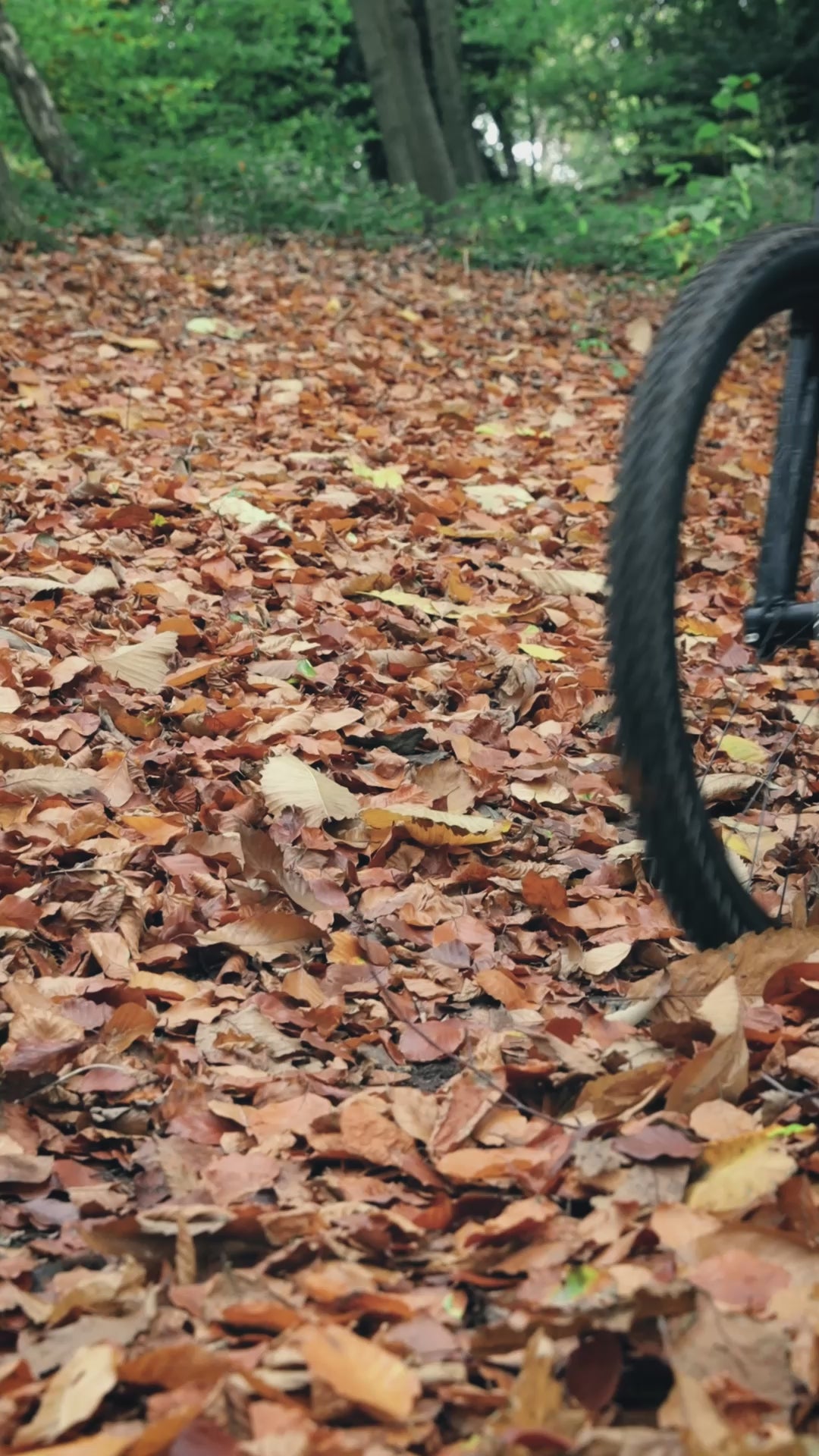 Load video: Jetvalve CO2 Inflator (Head / Cylinder / Sleeve)